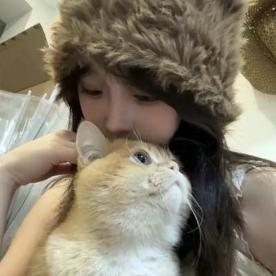 熊猫的故事在线观看